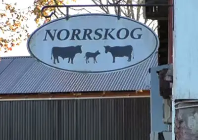 Hånger Norrskog