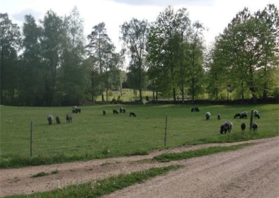 Vadet Gård