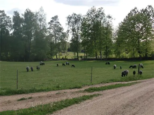 Vadet Gård