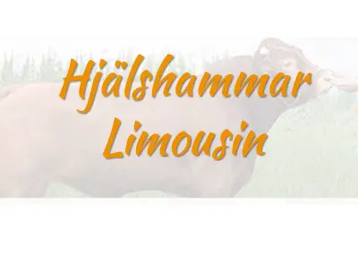 Hjälshammar Limousin