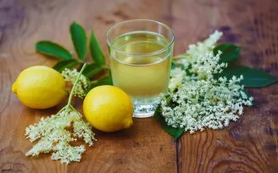 Supergott Flädersaft recept