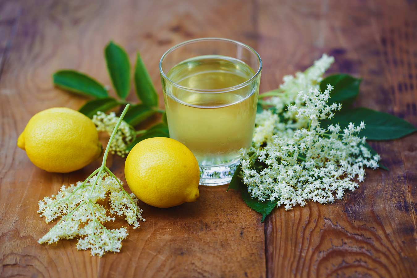 Flädersaft recept
