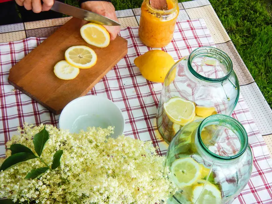 Bästa flädersaft receptet