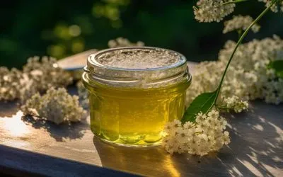 Hemmagjord flädergelé enkelt recept