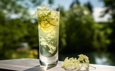 Flädersaft utan citronsyra!